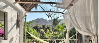 Yelapa Village: Moringa