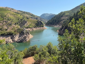 Un valle fluvial con terreno rocoso y vegetación densa.