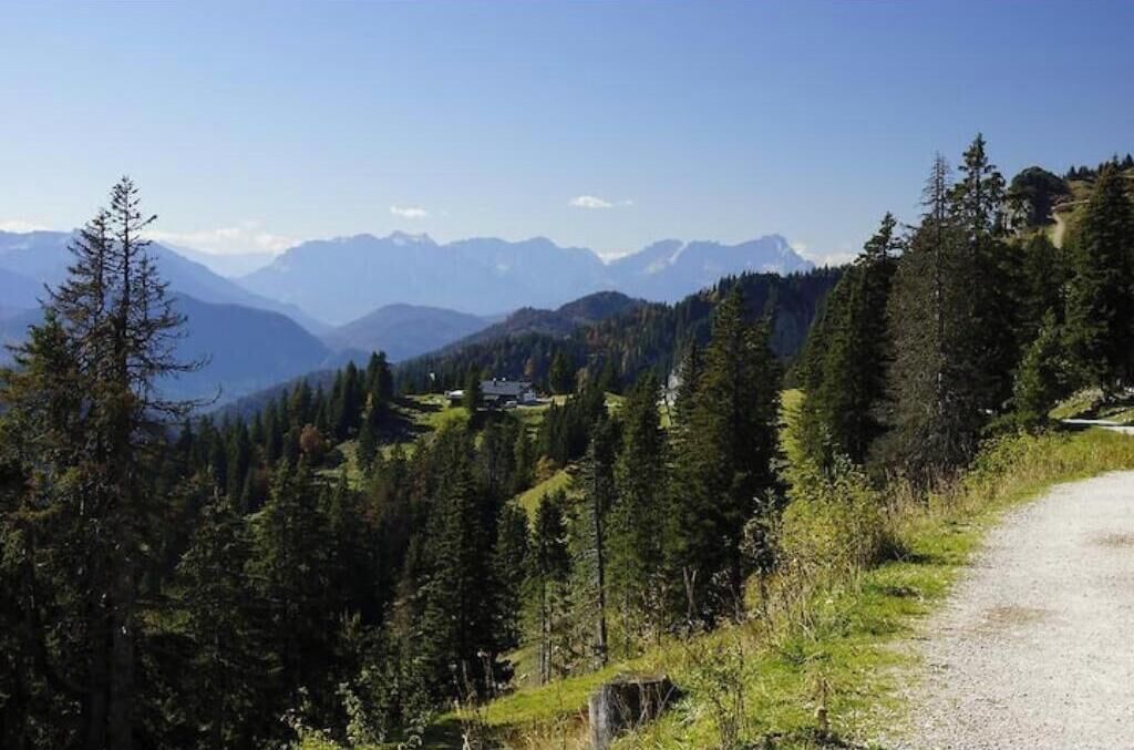 Un paysage montagneux avec un sentier de gravier et une forêt dense.