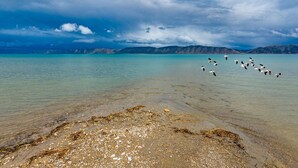 Ein Strand mit klarem Wasser, fernen Bergen und fliegenden Vögeln.