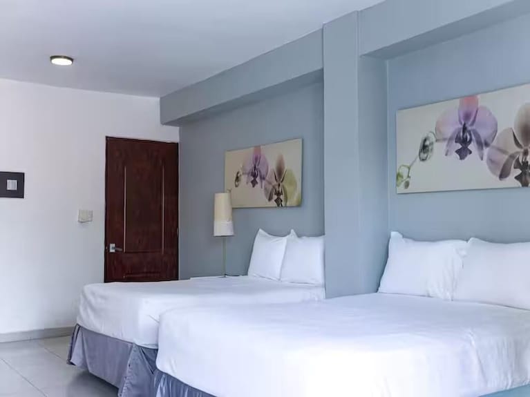 Centrally Located Charming Suite - Santo Domingo