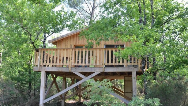 Una casa en árbol de madera con balcón, rodeada de árboles.