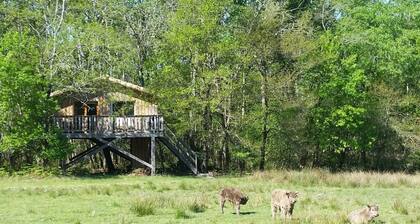 La Cabane Gipsy - CABANAC ET VILLAGRAINS