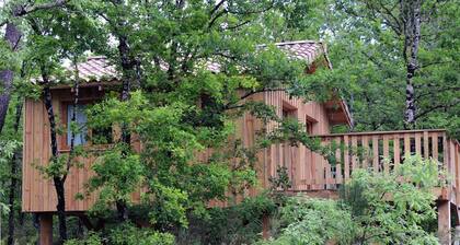 La Cabane Gipsy - CABANAC ET VILLAGRAINS