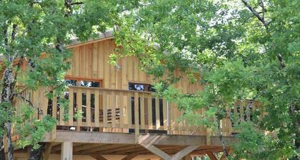 La Cabane Gipsy - CABANAC ET VILLAGRAINS
