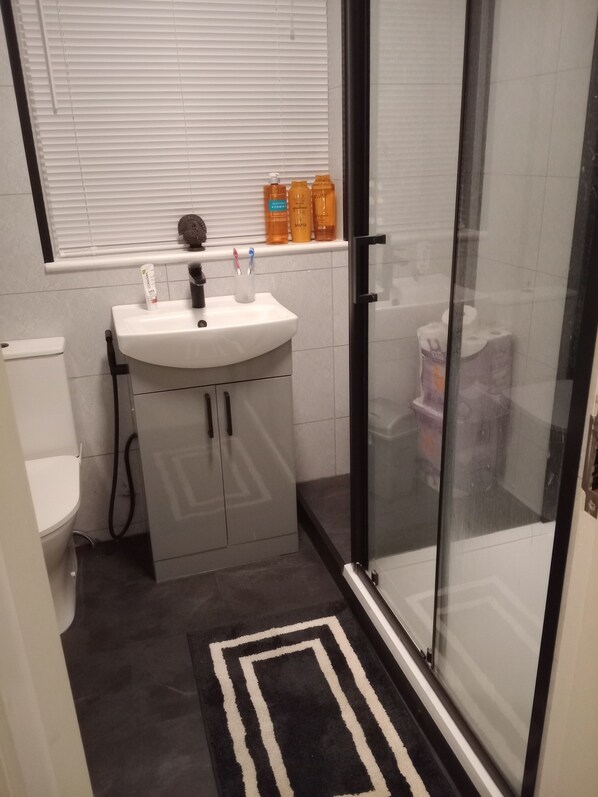Hair dryer, towels, soap, toilet paper