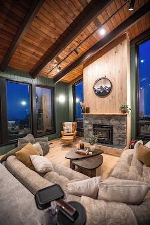 Smart TV, fireplace, books
