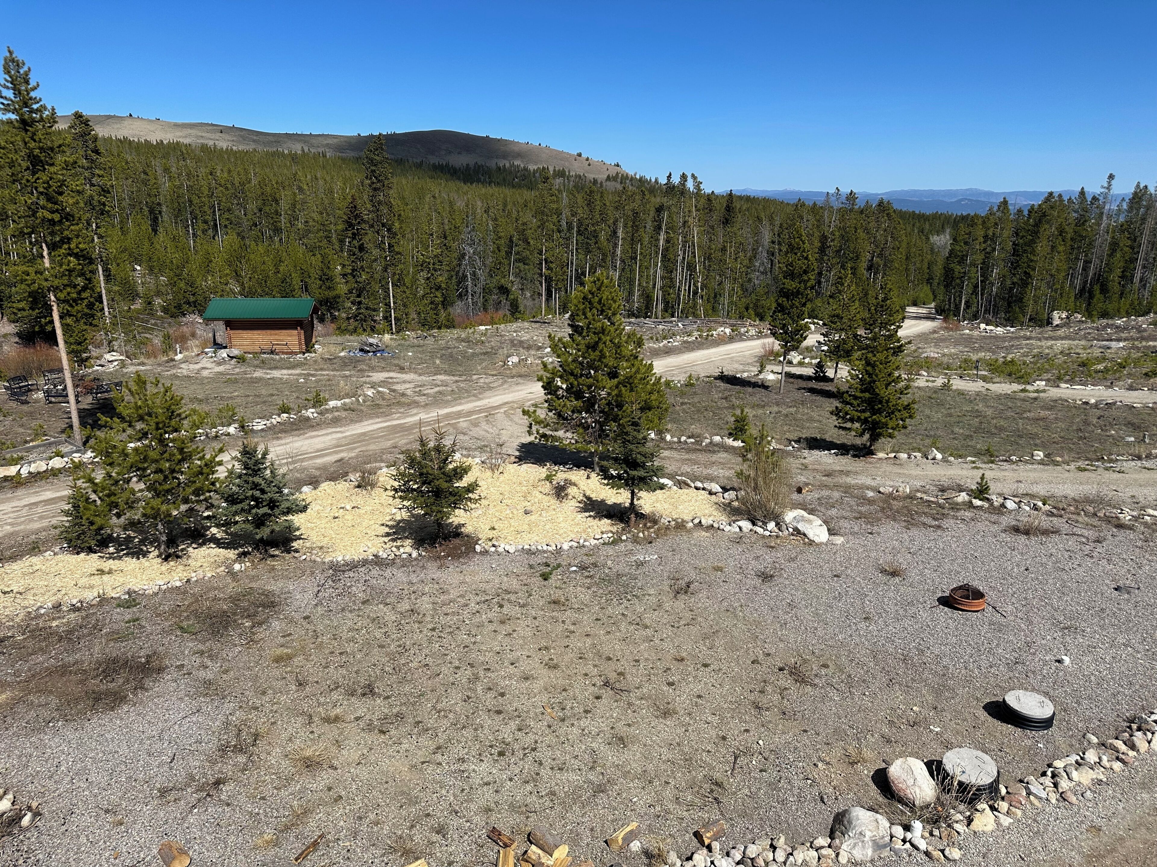 Une cabane surmontée d’un toit végétalisé, entourée d’une zone boisée et bordée d’un chemin de terre.