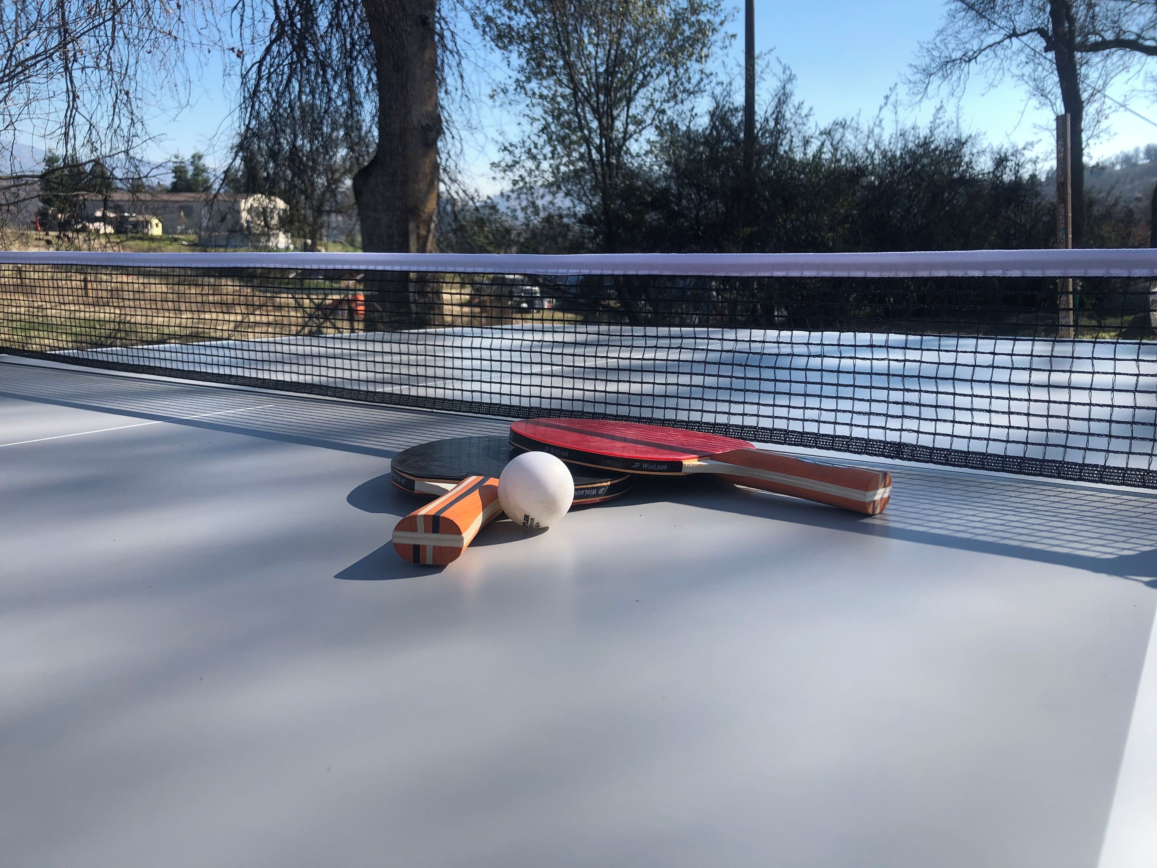 Een tafeltennistafel met net, batje en bal.
