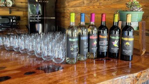 Un espace bar avec des bouteilles de vin et des verres.