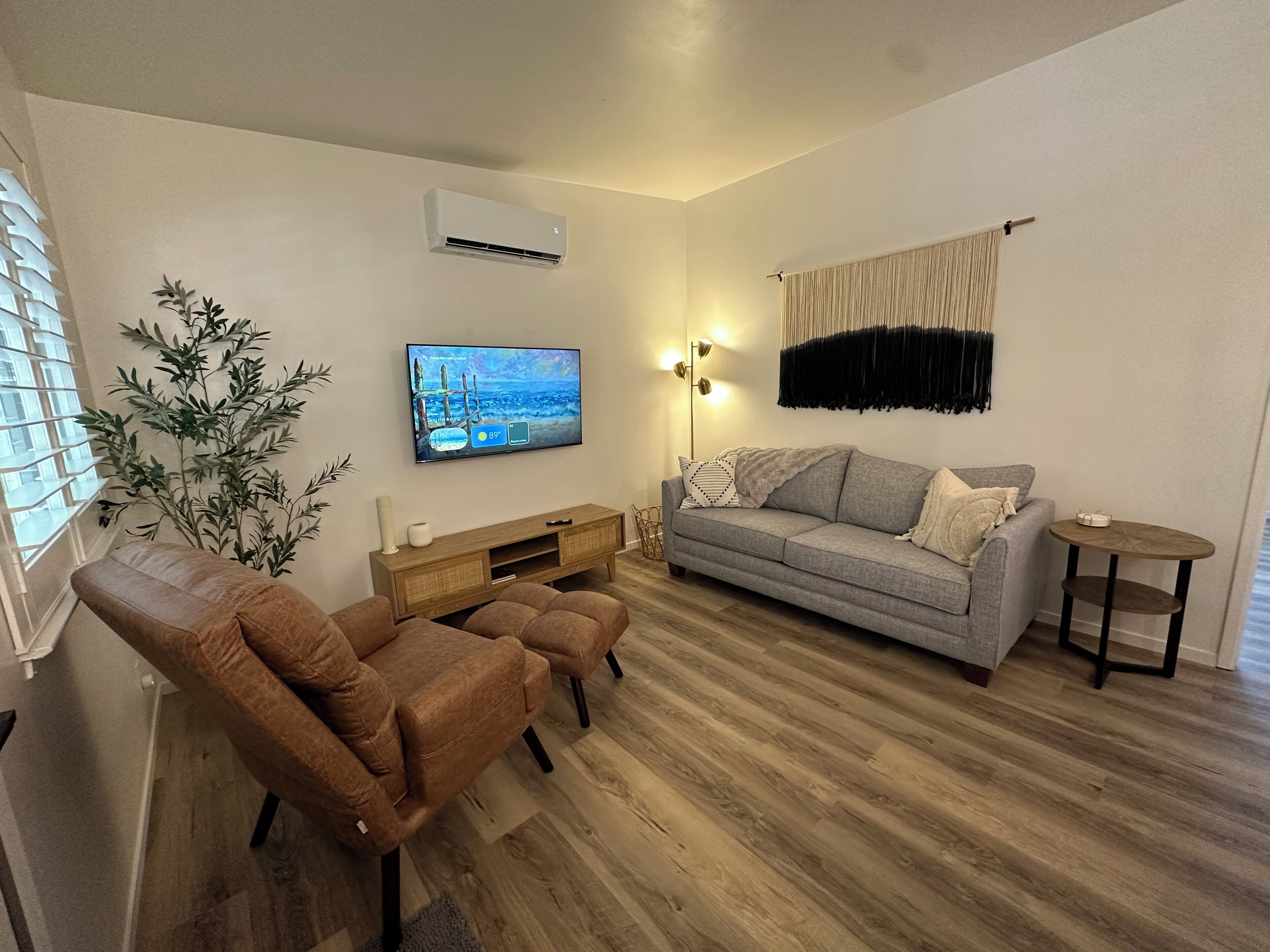 Televisor 