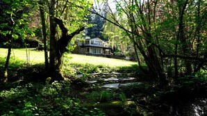 A house surrounded by a lush forest with a stone pathway leading to it. - Family Seattle Stay • Swim Spa • Fire Pit • 9 beds (Woodinville)