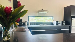 A modern kitchen with a large island, a flat-screen TV, and a coffee maker. - Villa Vonu - 2 Bedroom Ensuit. Your own pool, secured landscape near the beach. (Pacific Harbour)