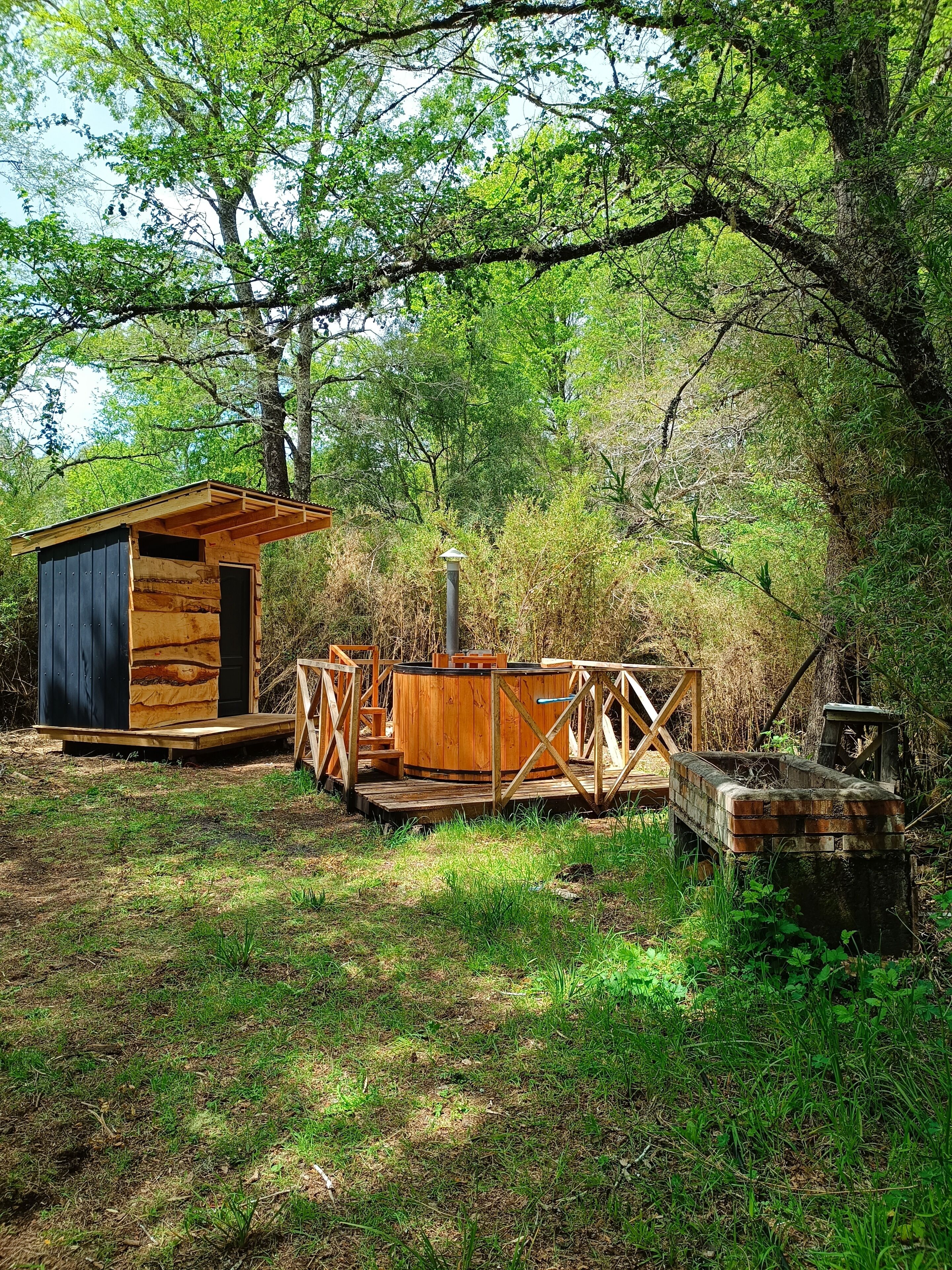 Classic Cabin, Courtyard View | Property grounds