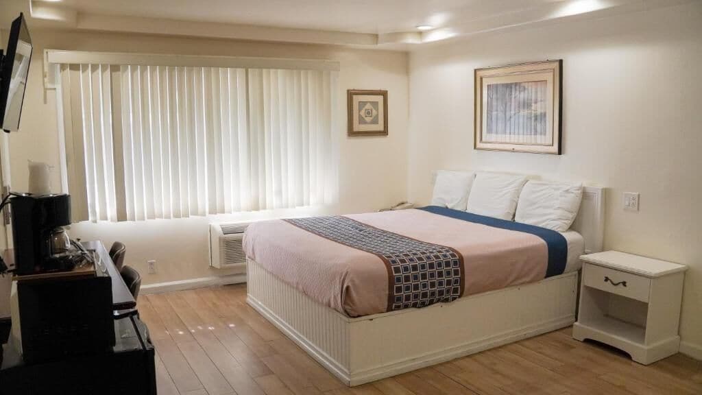 Single Room | Desk, iron/ironing board, free WiFi