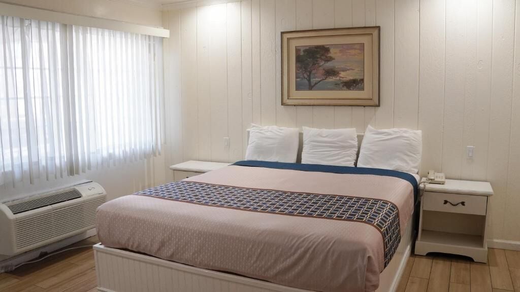 Double or Twin Room | Desk, iron/ironing board, free WiFi