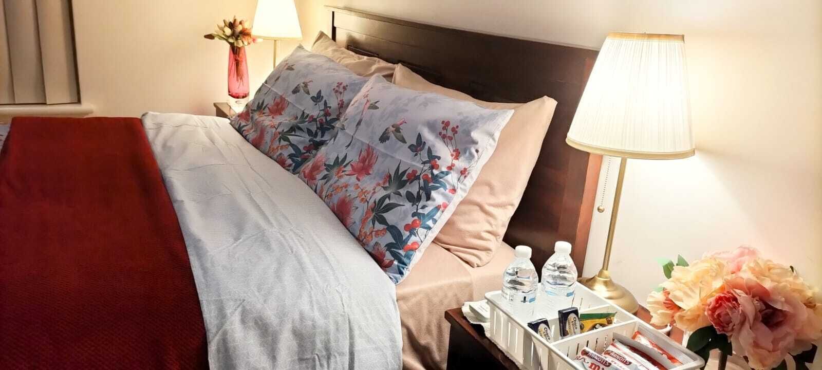 1 bedroom, iron/ironing board, WiFi, bed sheets