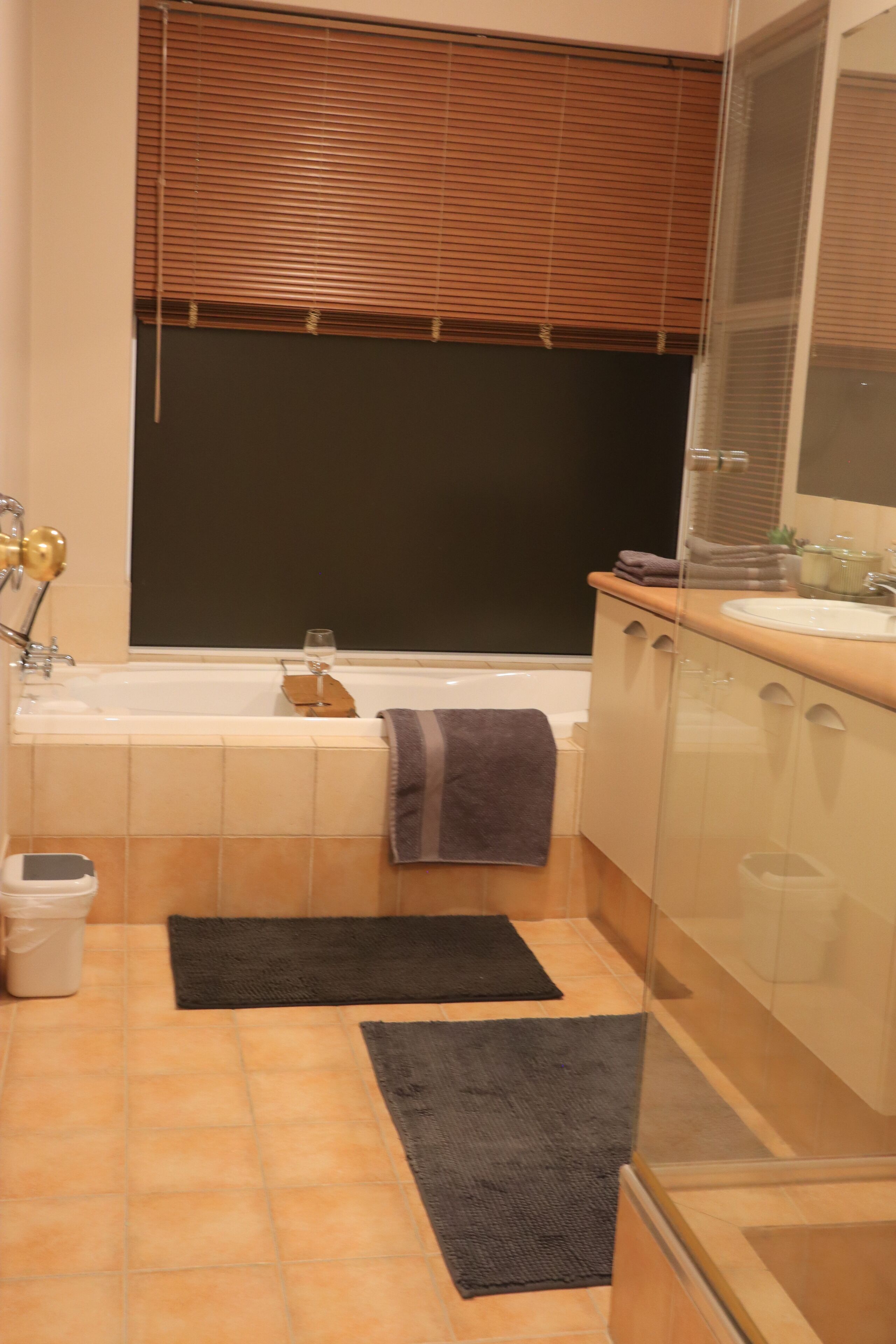Hair dryer, towels, toilet paper