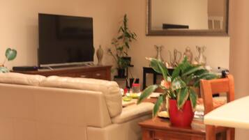 Smart TV, DVD player