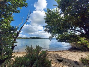 Eine natürliche Landschaft mit einem See, Bäumen und einem Sandstrand.