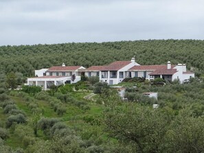 Eksteriør