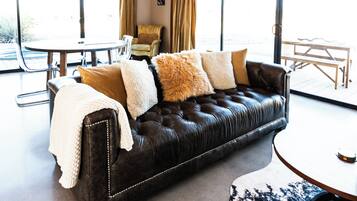 TV, fireplace, books