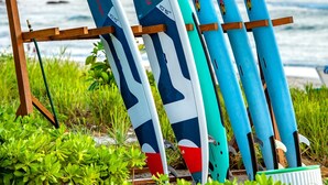 Et træstativ med flere surfboards ved havet.