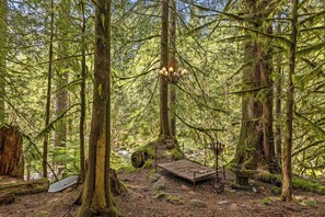 Property grounds - Waterfront lodge on 24 acres with patio & fireplace (Rhododendron)