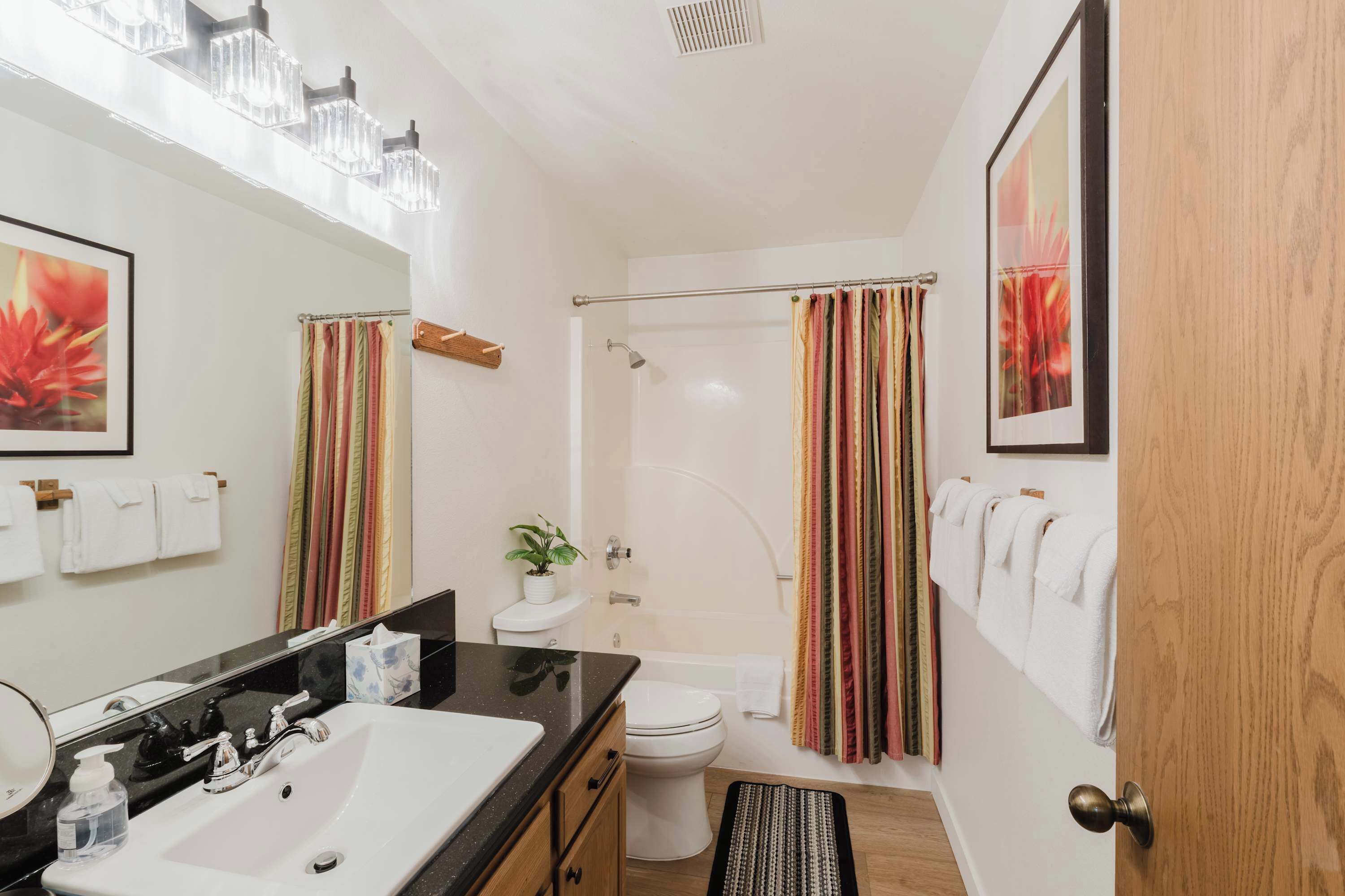 Shower, hair dryer, towels, shampoo