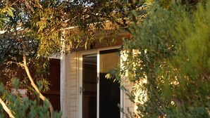 Un bâtiment moderne doté d’une entrée avec une porte vitrée coulissante, entouré de verdure.