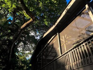 Property grounds - Ocean View Solar-Powered Jungle Retreat (Pāhoa)