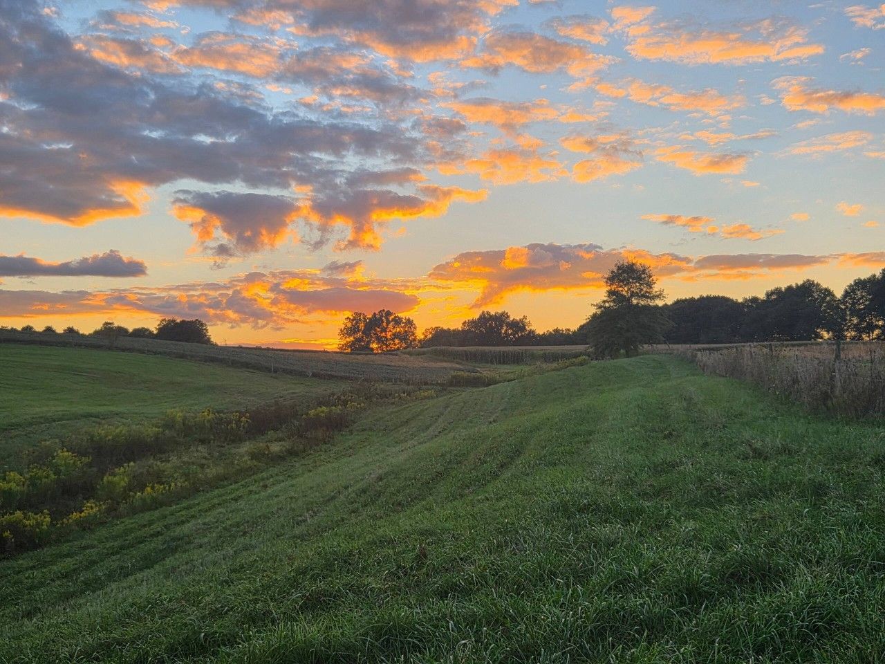 Ländliche Landschaft mit Feldern, einem Feldweg und Bäumen unter einem Abendhimmel.