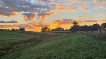 Ländliche Landschaft mit Feldern, einem Feldweg und Bäumen unter einem Abendhimmel.