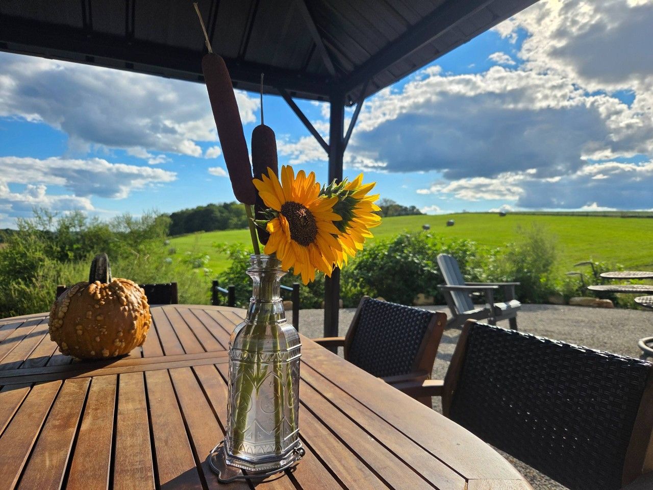 A wooden table with a glass bottle and a sunflower, a carved pumpkin, and outdoor furniture under a covered area with a view of a green field.