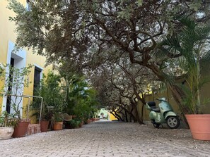 Property grounds - Casa Terraza (San Juan)