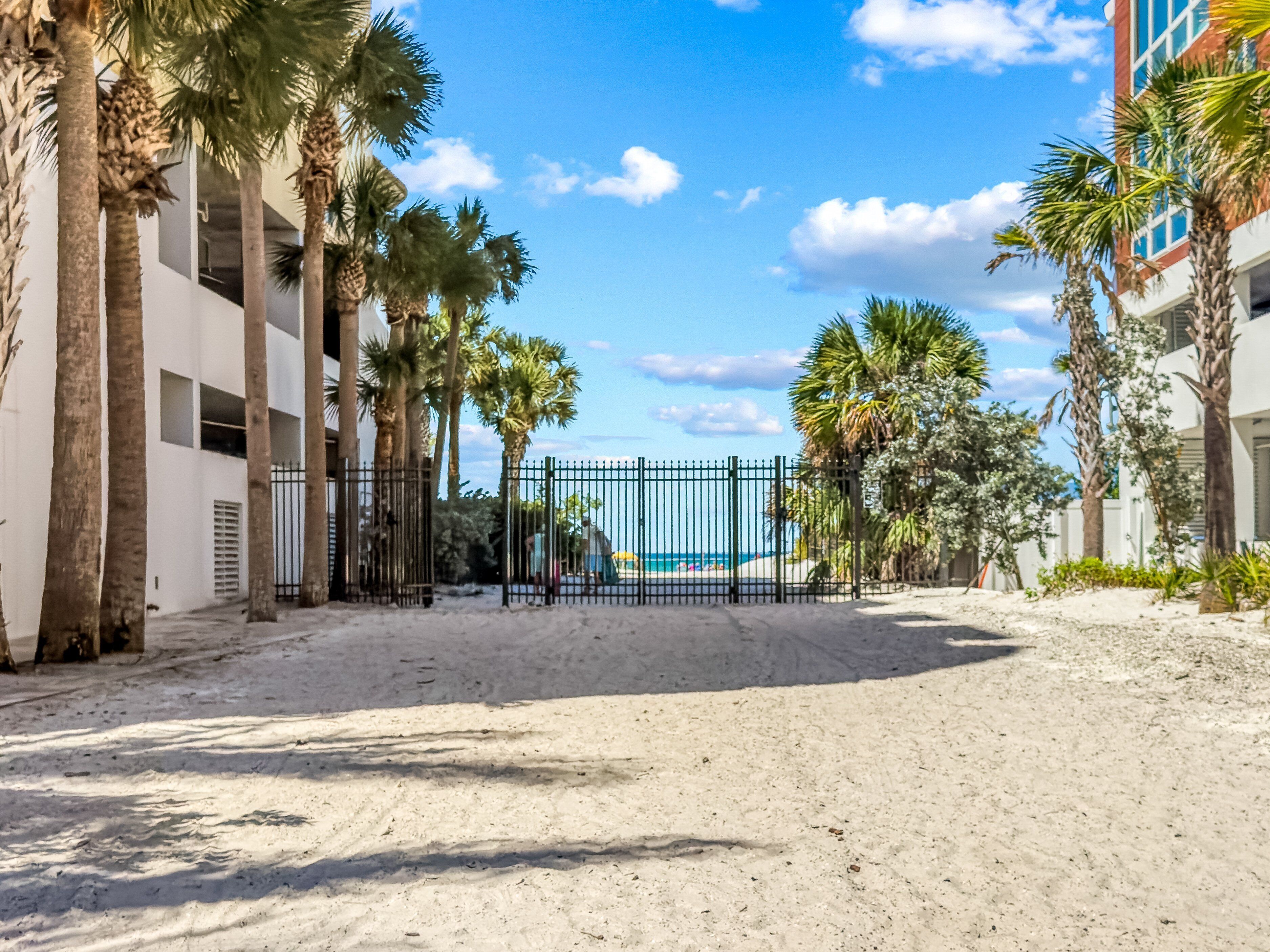 A sandy beach area with palm trees and a view of the ocean.