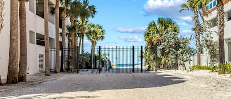A sandy beach area with palm trees and a view of the ocean.