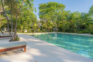 Pool - 3-bedroom house in charming Playa del Carmen with pool! (Playa del Carmen)