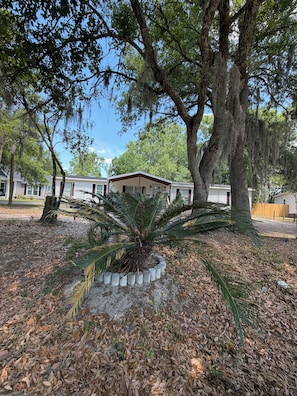 Property grounds - A house of peace and tranquility (Garden City)