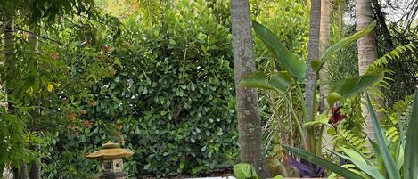 Jardines del alojamiento