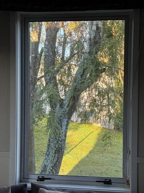 Junior Suite, Garden View | Garden view