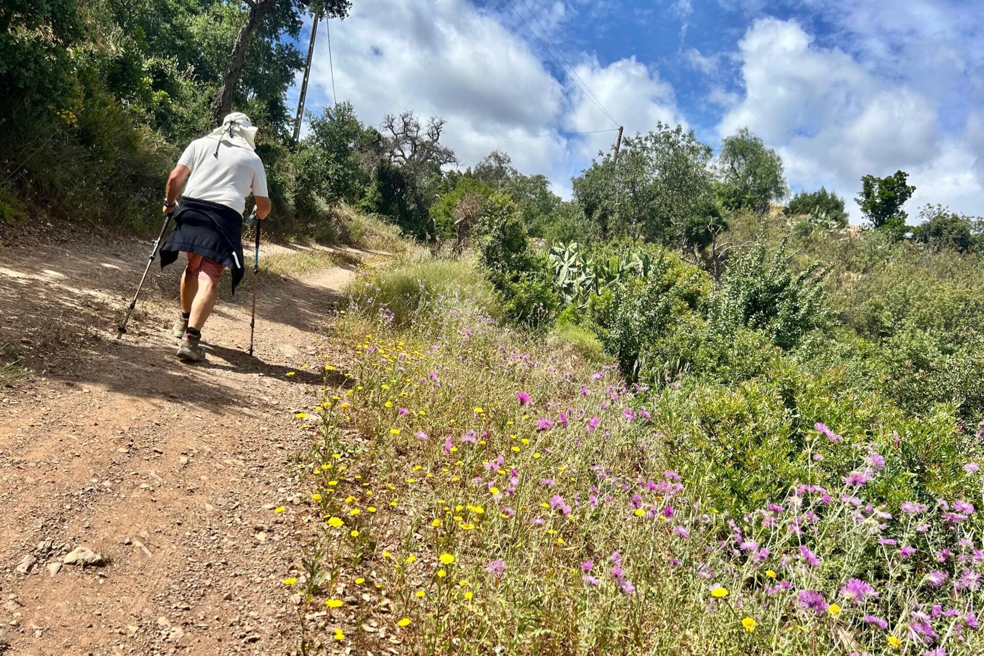 A person hiking on a dirt path surrounded by wildflowers and greenery.