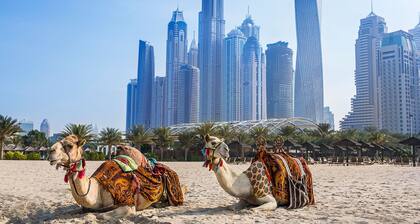 Hilton Luxury Hotel – Rooms Only | Mandatory All-Inclusive Paid At Hotel