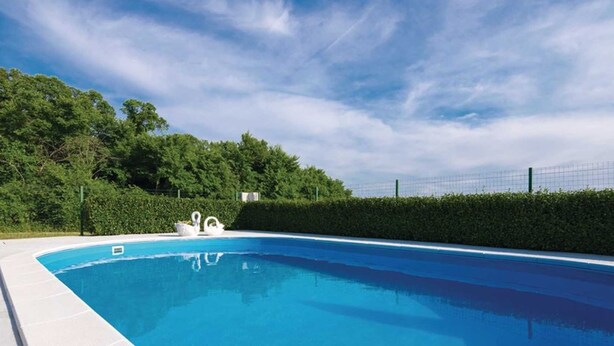 A clear blue swimming pool with a white edge, surrounded by a hedge and trees under a partly cloudy sky. - Holiday house Flora with pool by Interhome (Crno)