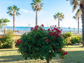 Ein Garten mit verschiedenen Pflanzen und Blumen, darunter ein auffälliger Strauch mit roten Blüten.