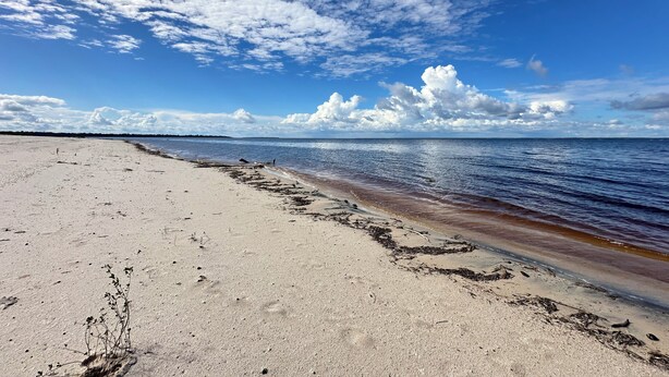 En strand med klar himmel och stilla hav.