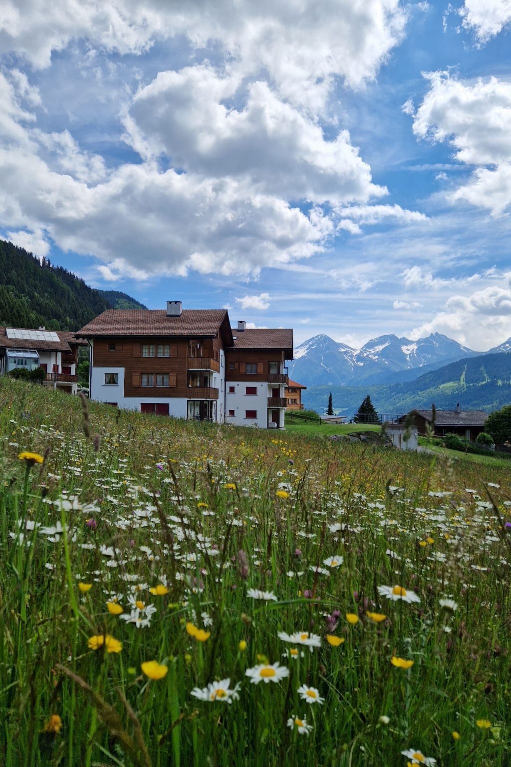 Ein zweistöckiges Gebäude mit geneigtem Dach, umgeben von einem Feld voller Wildblumen, mit Bergen im Hintergrund.