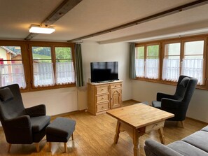 Fernseher, DVD-Player