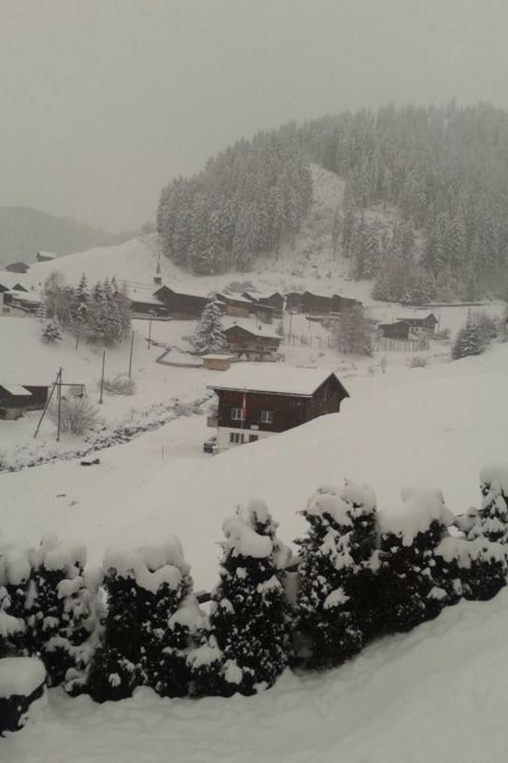 A snow-covered village with houses and trees.