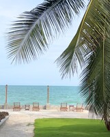 Vista de una playa con palmeras, un camino de piedra y sillas de madera.